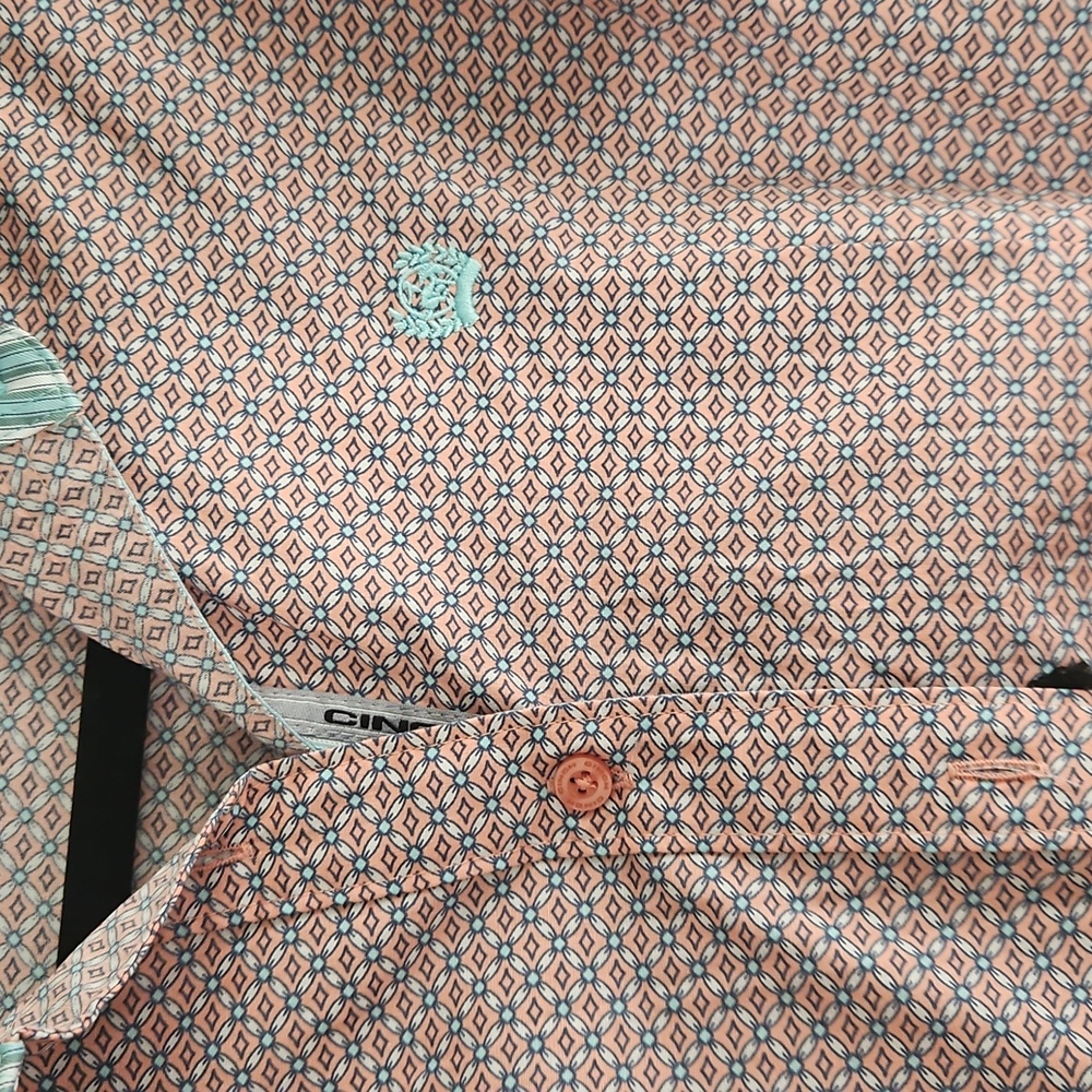 Cinch Button Down - Picture 3 of 3